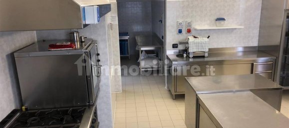 5 rooms Commercial property in Cecima, Italy No. 8328 3