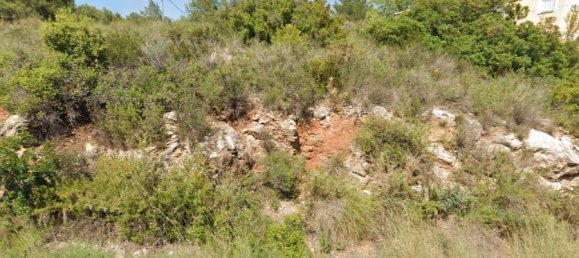  قطعة أرض في Alfarp, Spain 925متر مربع رقم 184505 10