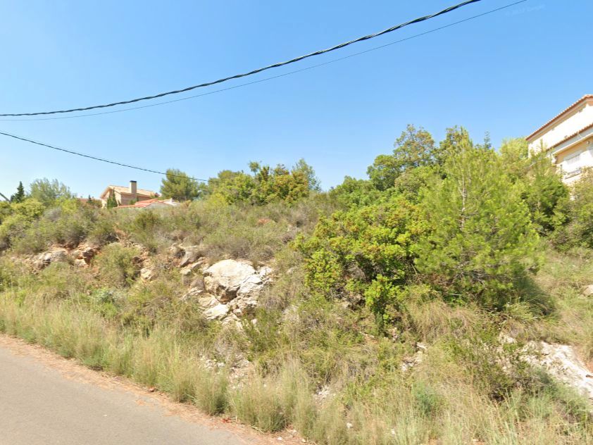  قطعة أرض في Alfarp, Spain 925متر مربع رقم 184505