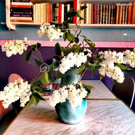 Gewerbliche Immobilie in Gap, France, Nr. 307525