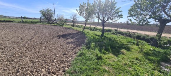 Casa de 2 dormitorios en Zamora, Spain No. 64454 11