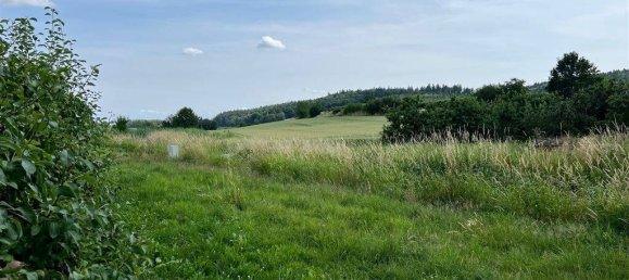  Land in Bodenseekreis, Germany No. 318821 4