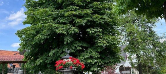  Land in Bodenseekreis, Germany No. 318821 2