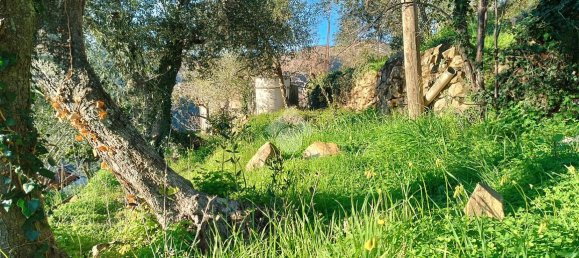 Casa de 4 habitaciónes en Sanremo, Italy No. 163859 25