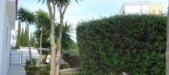 4 Schlafzimmer Gewerbliche Immobilien in Paphos, Cyprus, Nr. 9666 3