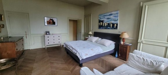 7 Schlafzimmer Stadthaus in Orleans, France, Nr. 56285 8