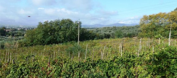 استوديو في Capannori, Italy رقم 171102 11