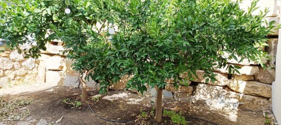 4 Schlafzimmer Haus in Torremolinos, Spain, Nr. 166771 20