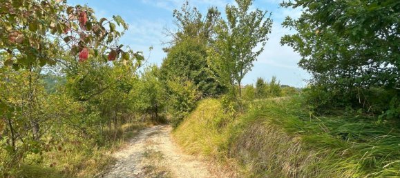 28000m² Land in Rocca Cigliè, Italy No. 298747 5