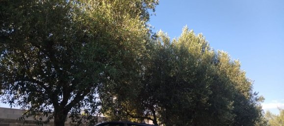  Land in Nettuno, Italy No. 331625 15