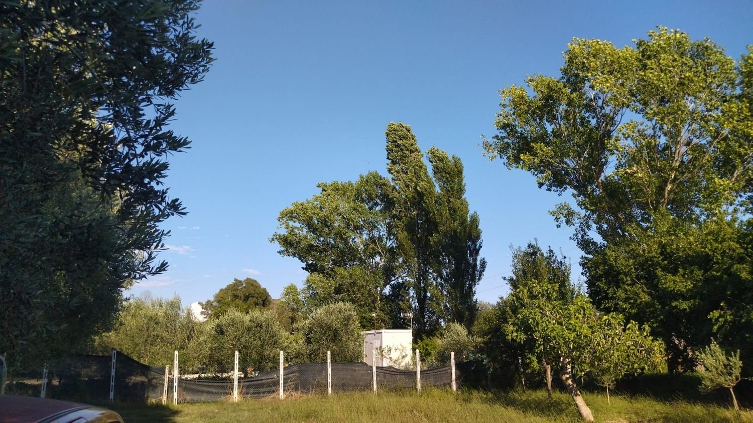  Land in Nettuno, Italy No. 331625