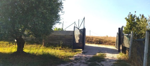  Land in Nettuno, Italy No. 331625 5