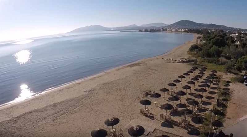  فندق في Artemida, Greece 460متر مربع رقم 4261