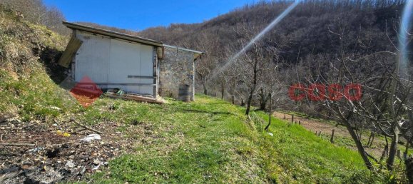 15000m² Land in Rieti, Italy No. 183102 3