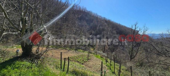 15000m² Land in Rieti, Italy No. 183102 5