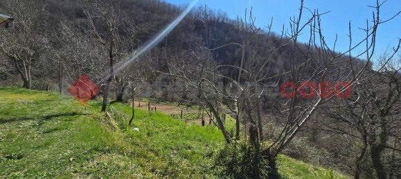 15000m² Land in Rieti, Italy No. 183102 4