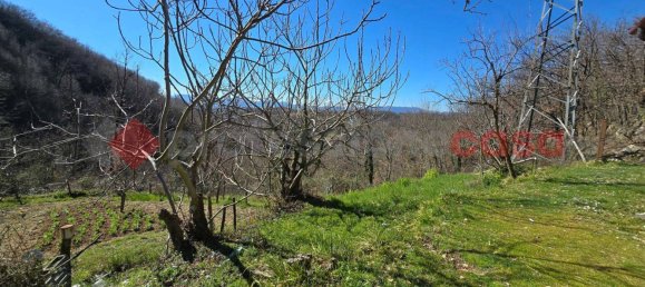 15000m² Land in Rieti, Italy No. 183102 8