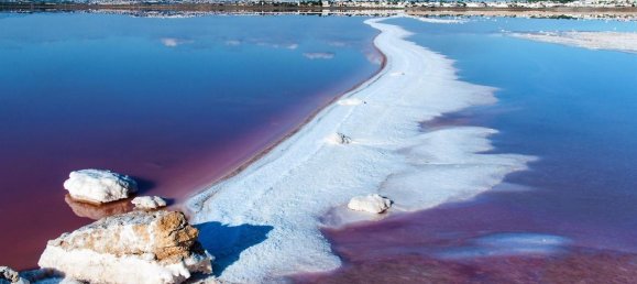 3 غرف نوم شقة في Torrevieja, Spain رقم 157160 12