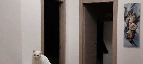 3-Zimmer Wohnung in Poggibonsi, Italy, Nr. 12724 34