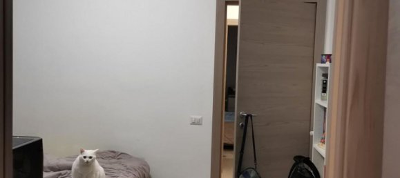 3-Zimmer Wohnung in Poggibonsi, Italy, Nr. 12724 37