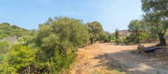 4 Schlafzimmer Villa in San Teodoro, Italy, Nr. 329333 41