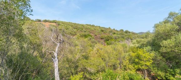 4 Schlafzimmer Villa in San Teodoro, Italy, Nr. 329333 43