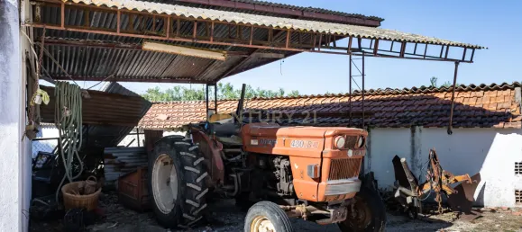 9 bedrooms House in Montijo, Portugal No. 145338 8