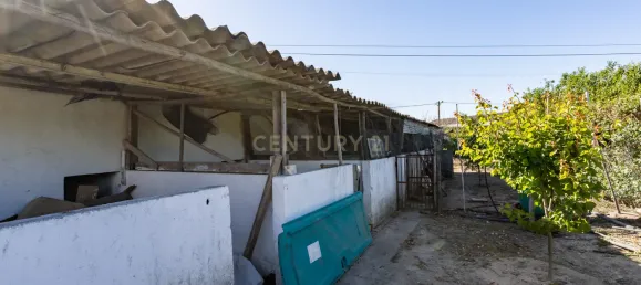 9 bedrooms House in Montijo, Portugal No. 145338 3