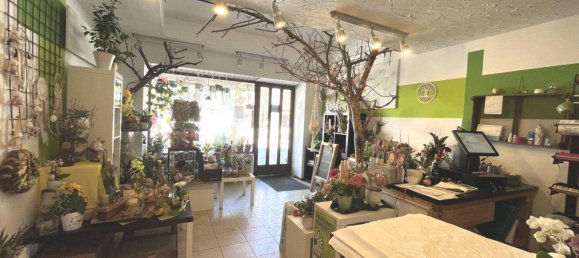 2 rooms Apartment in St. Aegyd am Neuwalde, Austria No. 187527 10