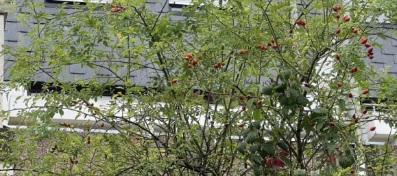 Dúplex de 3 dormitorios en Wuppertal, Germany No. 106043 30