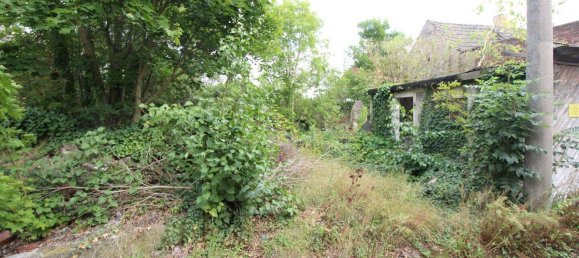 Terrain à Nordsachsen, Germany No. 320850 2