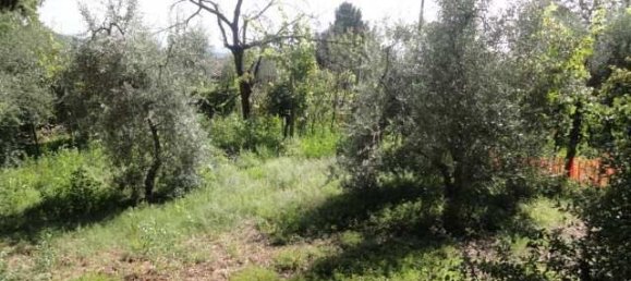 10 rooms House in San Gimignano, Italy No. 195469 10