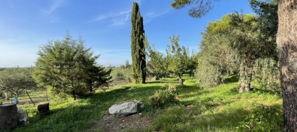 4-Zimmer Haus in Sciacca, Italy, Nr. 140437 23