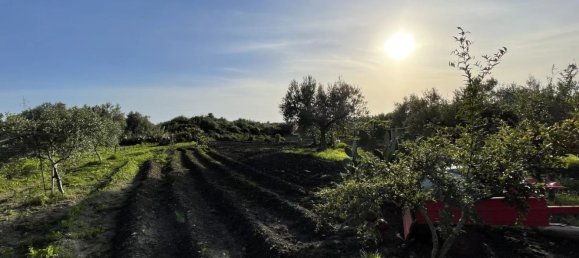 4-Zimmer Haus in Sciacca, Italy, Nr. 140437 32