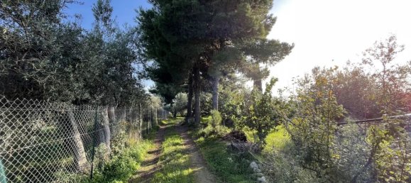 4-Zimmer Haus in Sciacca, Italy, Nr. 140437 41