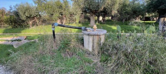 4-Zimmer Haus in Sciacca, Italy, Nr. 140437 43