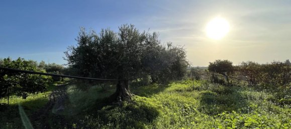 4-Zimmer Haus in Sciacca, Italy, Nr. 140437 28