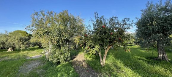 4-Zimmer Haus in Sciacca, Italy, Nr. 140437 38