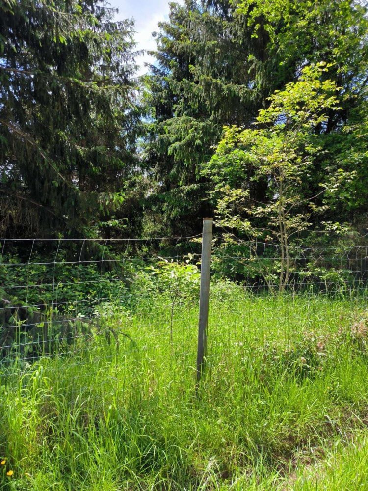 Grundstück in Main-Kinzig, Germany, Nr. 217877