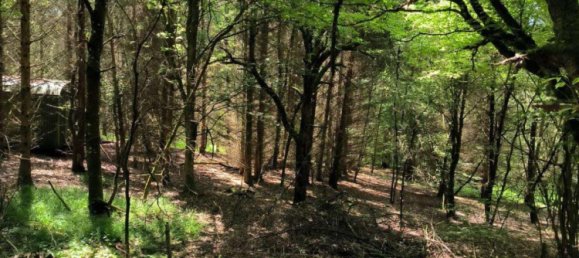 قطعة أرض في Main-Kinzig, Germany رقم 217877 3