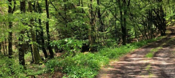 قطعة أرض في Main-Kinzig, Germany رقم 217877 5