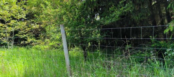 قطعة أرض في Main-Kinzig, Germany رقم 217877 2