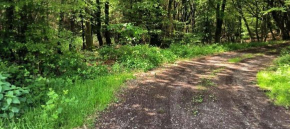 قطعة أرض في Main-Kinzig, Germany رقم 217877 4