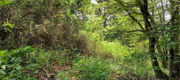 قطعة أرض في Main-Kinzig, Germany رقم 217877 6