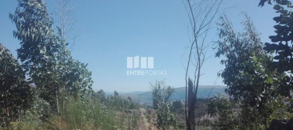 Grundstück in Marco de Canaveses, Portugal 9700m², Nr. 52094 4