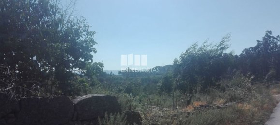 Grundstück in Marco de Canaveses, Portugal 9700m², Nr. 52094 5