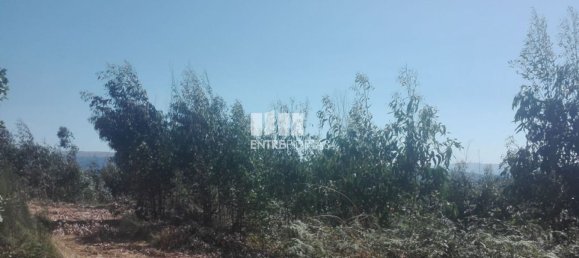 Grundstück in Marco de Canaveses, Portugal 9700m², Nr. 52094 2