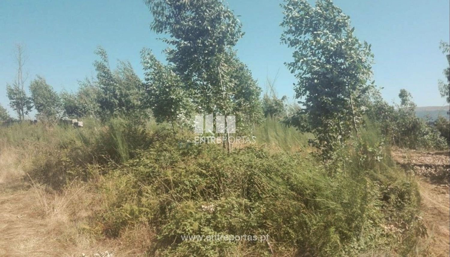 Grundstück in Marco de Canaveses, Portugal 9700m², Nr. 52094