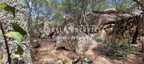 Вилла с 3 спальнями в Ольбия, Италия № 59830 14