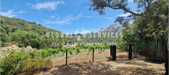 Вилла с 3 спальнями в Ольбия, Италия № 59830 29